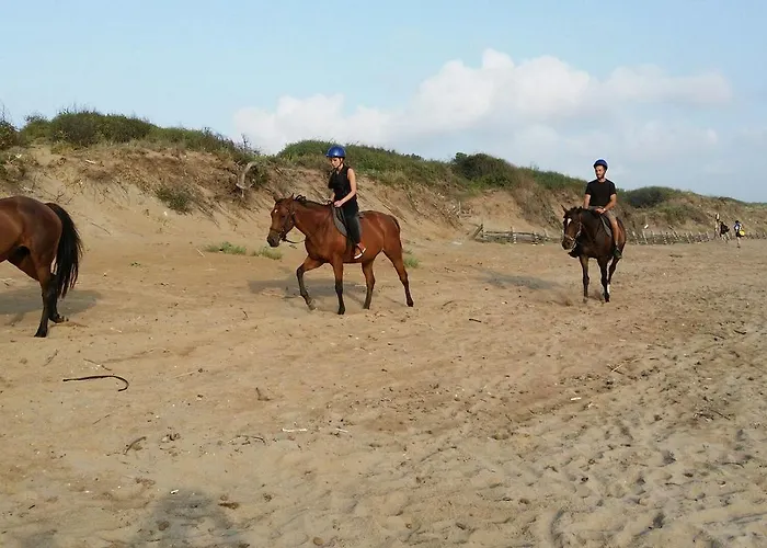 Sa Domo De Sos Aranzos * Santa Maria la Palma