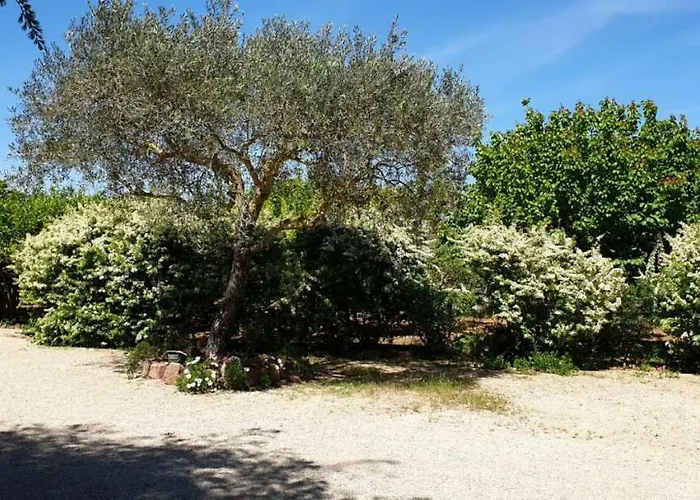 Sa Domo De Sos Aranzos Сasa de vacaciones Santa Maria la Palma